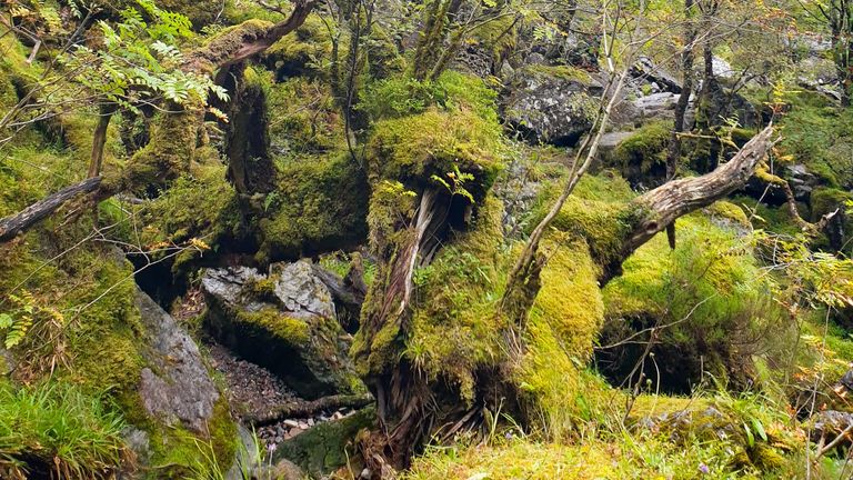 Coire Gabhail. Obr: National Trust for Scotland