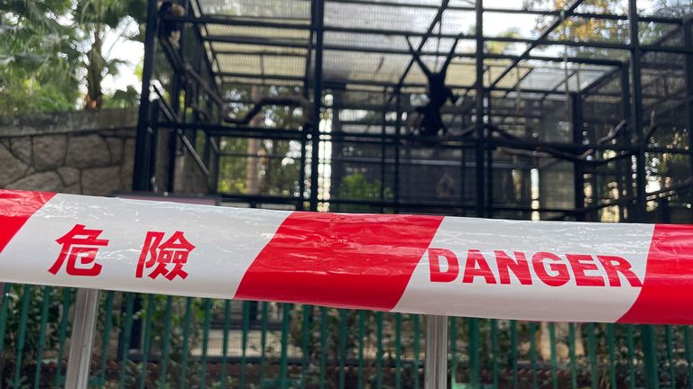 Kordon kolem výběhů opic v hongkongské zoologické a botanické zahradě. Obrázek: AP