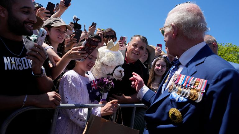 Král Charles předtím, než ho kýchla alpaka. Obr: AP Photo/Mark Baker, Pool