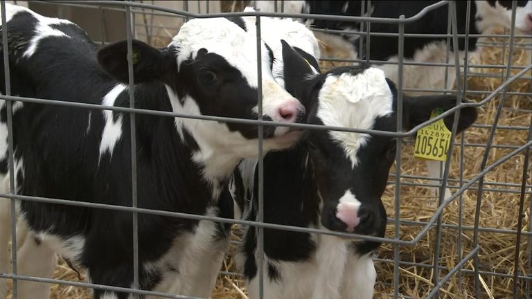 Farmáři vyjádřili obavy, že nová úleva na dědické dani ve výši jednoho milionu liber pro farmy bude znamenat, že budou nuceni prodat půdu, aby zaplatili daň.