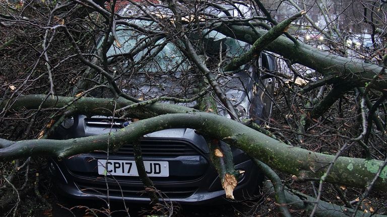 Část spadlého stromu, který zasáhl auto na Greenbank Road v Liverpoolu. Miliony lidí byly varovány, aby zůstaly uvnitř, tisíce jsou bez proudu a vlaky byly zrušeny jako vládní "ohrožení života" vstoupilo v platnost výstraha vyvolaná bouří Darragh. Datum snímku: Sobota 7. prosince 2024.