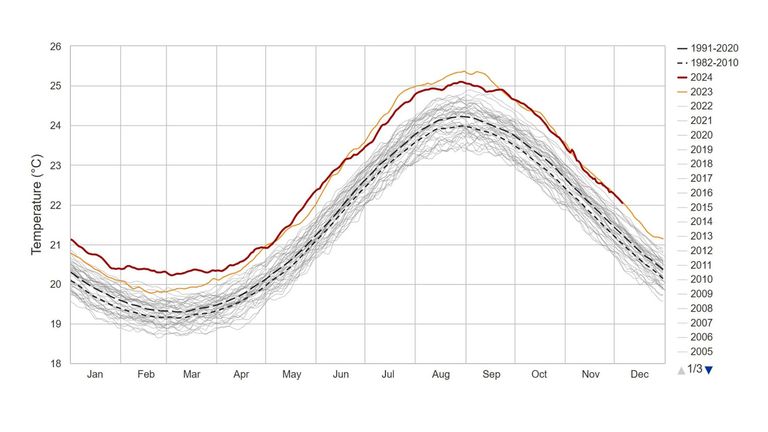 Denní povrchové teploty moře v severním Atlantiku 1985-2024. Obr: Climatereanalyzer.org/NOAA