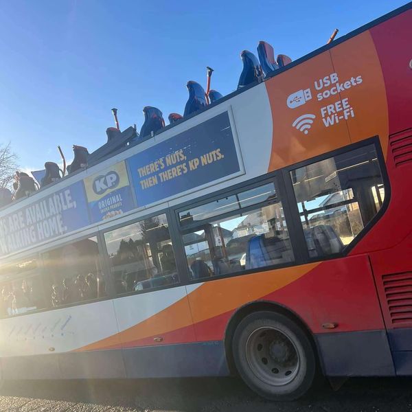 Havárie dvoupatrového autobusu v Kilmarnocku. Obrázek: Aiden Lynch