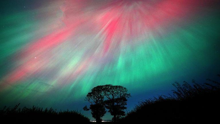 The Northern Lights, also known as the aurora borealis, on display in the skies above The Kissing Trees near Kinghorn in Fife. Aurora displays occur when charged particles collide with gases in the Earth's atmosphere around the magnetic poles. As they collide, light is emitted at various wavelengths, creating colourful displays in the sky. Picture date: Friday October 11, 2024.