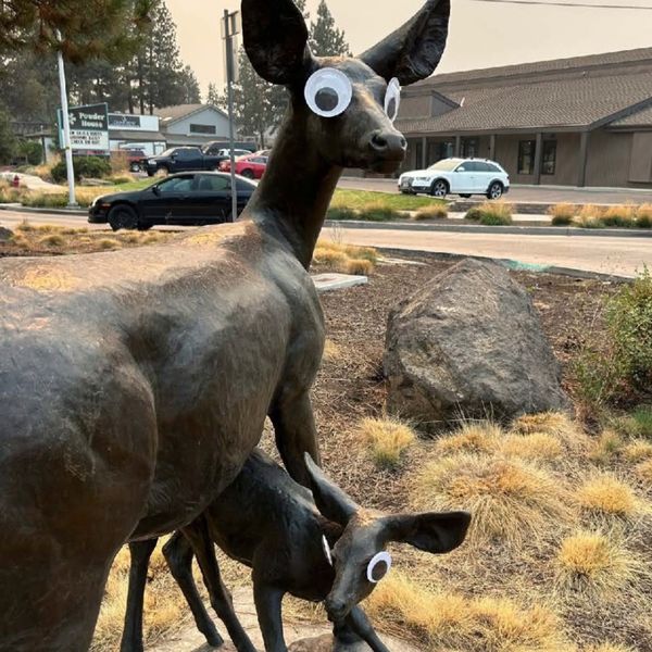 Google oči byly také umístěny na sochu dvou jelenů. Obrázek: City of Bend, Oregon