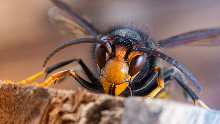 Obrázek souboru: imv/iStock