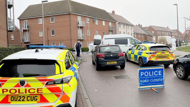 Policejní auta na místě činu poblíž bytového domu na Santa Cruz Avenue v Newton Leys poblíž Bletchley.  Obrázek: PA