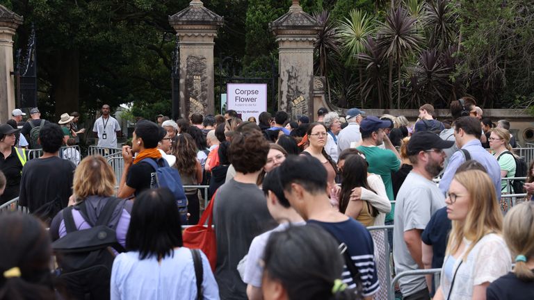 Lidé stojí ve frontě, aby si v Sydney v Austrálii prohlédli kvetoucí Bunga Bangkai, které se pro svůj zápach přezdívá „květina mrtvoly“.  Snímek: Reuters