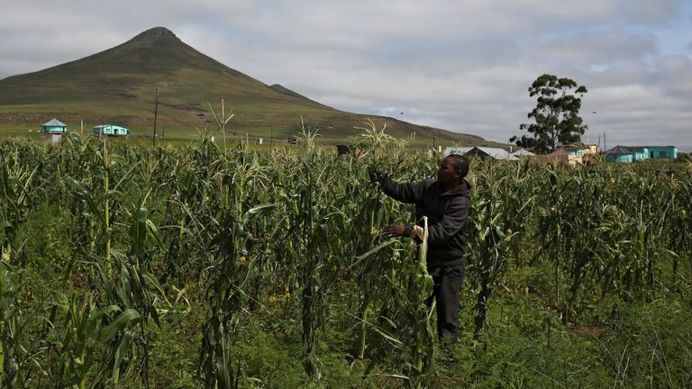 Soubor Pic: Reuters