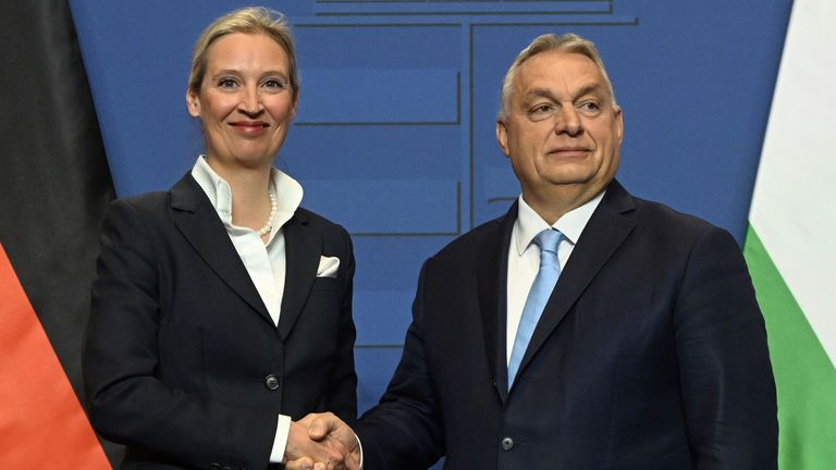 Alice Weidel a maďarský premiér Viktor Orban. Pic: Ap