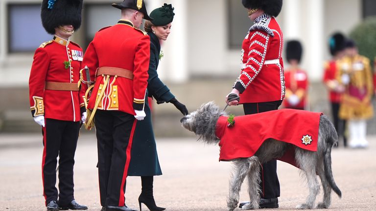 Princezna z Walesu Pets Seamus, irská stráže maskota během návštěvy irských stráží pro jejich přehlídku sv. Patrika ve Wellington Barracks.  Pic: Pa