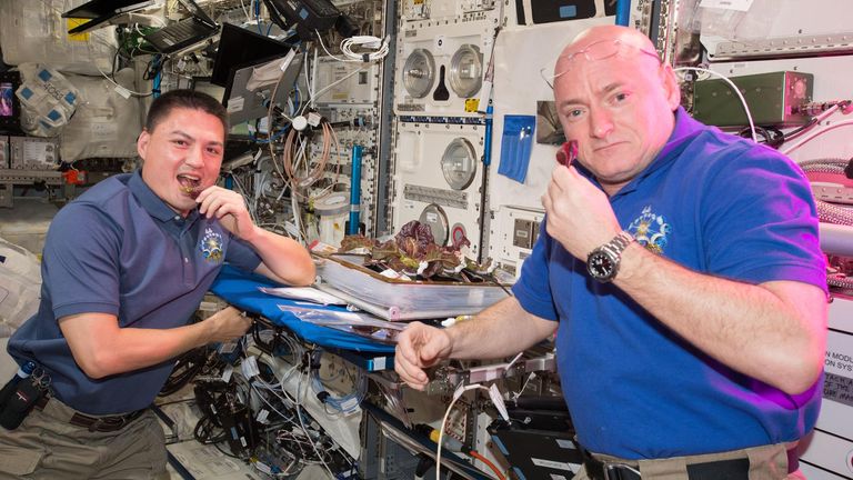 Astronauts Scott Kelly (L) a Kjell Lindgren s salátem rostli na ISS v roce 2015. File Pic: NASA