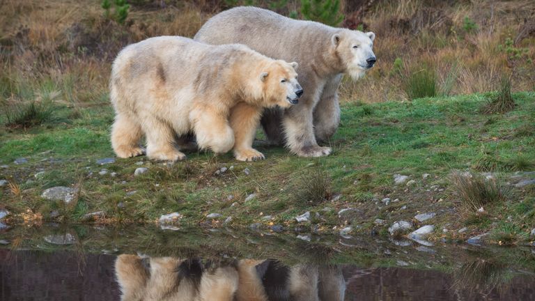 Victoria a Hamish. Pic: RZSS