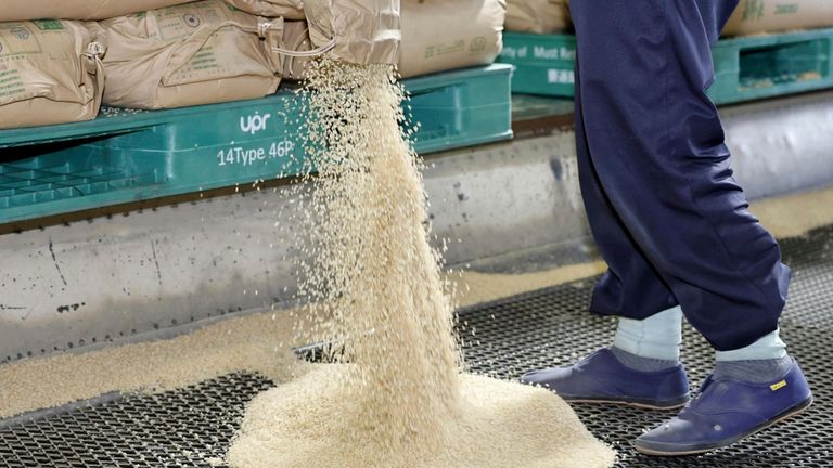 V březnu v prefektuře Saitamy v Saitamově prefektuře v Saitamově prefektuře. Pic: Ap