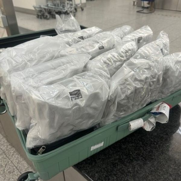 Konopí se chopilo na letišti Stansted. Pic: NCA