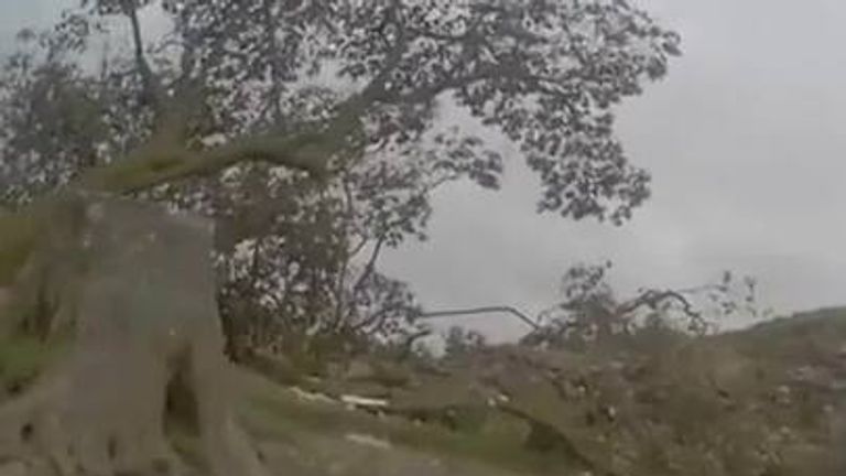 Záběry prvního důstojníka, který dorazí po kácení stromu Sycamore Gap