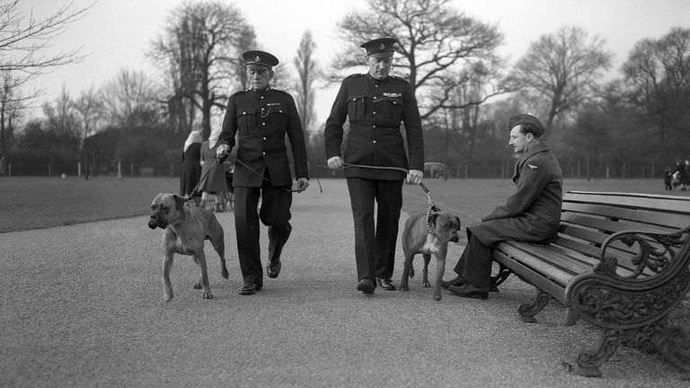 Park Park Wieders Patrol Regent's Park v roce 1949. Obrázek: AP