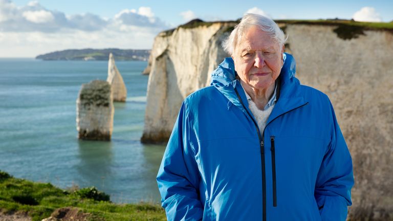 David Attenborough stojící podél britského pobřeží ve svém novém filmu Oceans.  Pic: Pa