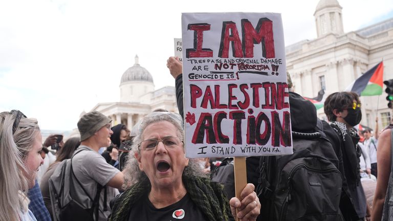 Palestinský zastánce v Londýně. Pic: Pa