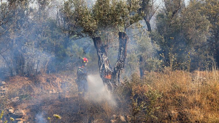 Hasič se pokouší uhasit plameny hořící strom, když požár požáru na ostrově Chios v Řecku