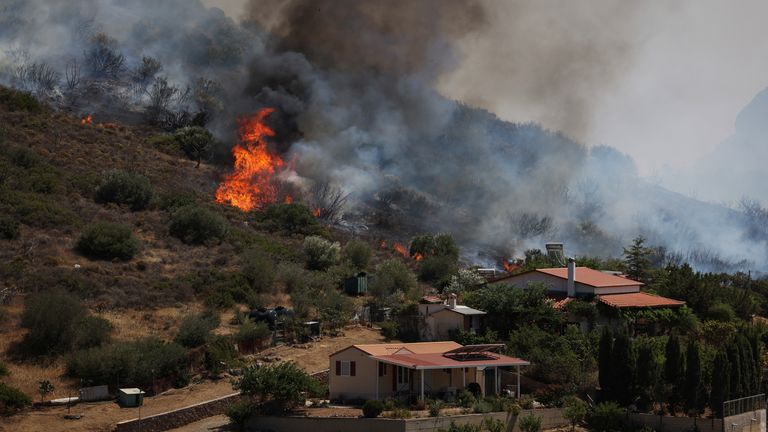 Plameny stoupají nad Thymari, poblíž Atén po vypuknutí požárů v pátek. Pic: Reuters