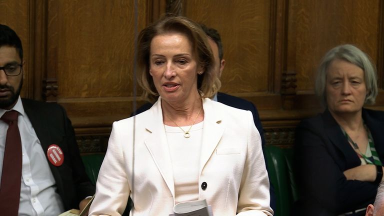 Sarah Pochin Reform UK