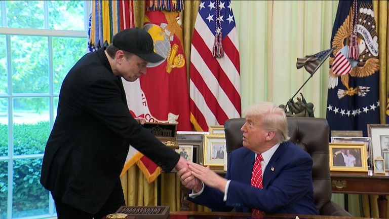 Trump Musk 