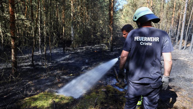 Hasiči se snaží uhasit požár během vlny Heat, poblíž vesnice Kleinbahren v Německu.  Pic Reuters