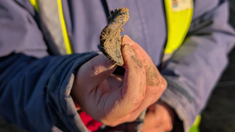 Fragment toho, co archeologové věří, je římská keramika. Pic: Pa