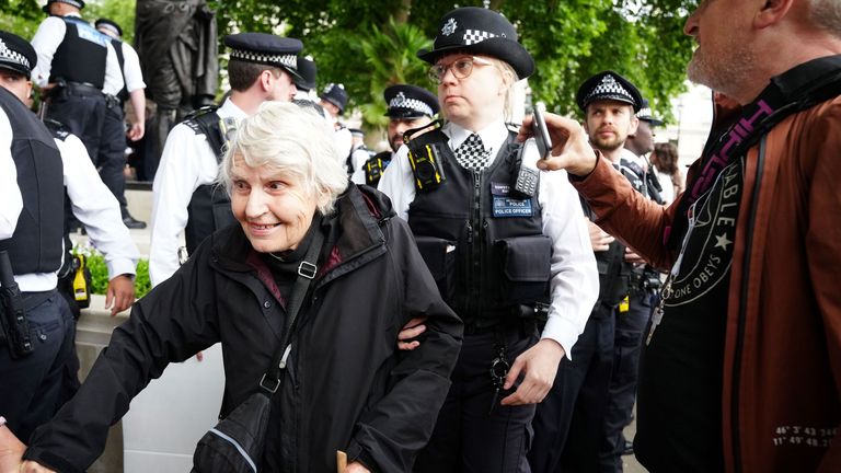Met Police odstraní 83leté reverend Sue Parfitt z protestu na podporu palestinské akce na náměstí parlamentu v Londýně. Pic: Pa