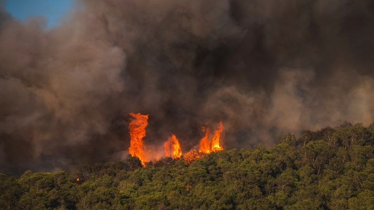 Pic: Richard Capalade/ap