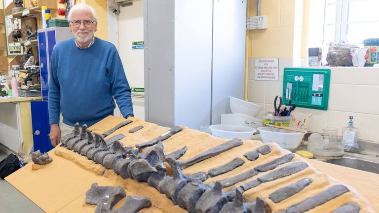 Lockwood řekl, že stvoření mělo obzvláště dlouhé nervové páteře. Pic: University of Portsmouth/PA