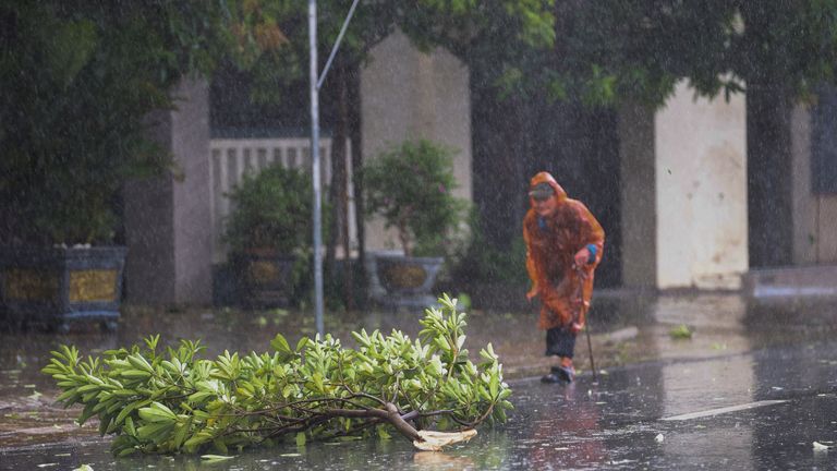 Žena chodí padlým stromem v provincii Nghe An Vietnam. Pic: Reuters