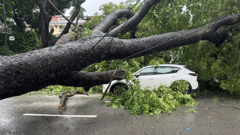 V následcích Typhoon Kajiki v Hanoji je auto rozdrceno pod padlým stromem. Pic: nguyen quang hai/vna přes AP