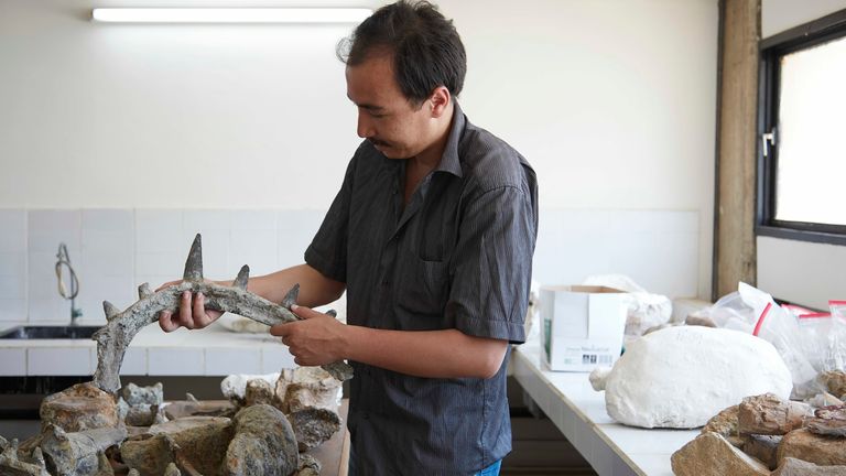 Dr. Ahmed Oussou s jedním z kostí. Obrázek: Muzeum přírodní historie