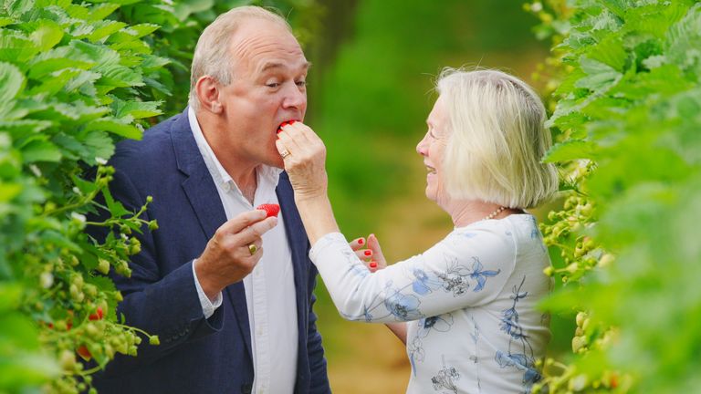 Sir Ed Davey se účastní Strawberryho sběru s Tessa Munt, poslancem pro Wells & Mendip Hills. Pic: Pa