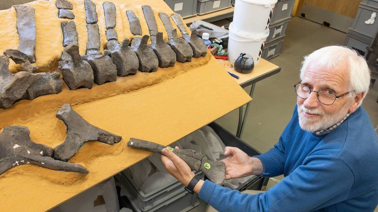 Jeremy Lockwood s páteřem dinosaura. Pic: University of Portsmouth/PA