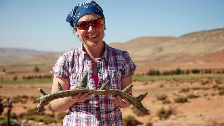 Profesor Susannah Maidment s jedním z fosílií Spicomellus. Obrázek: Muzeum přírodní historie