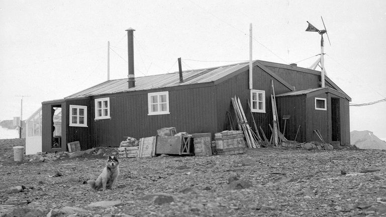 Hlavní chata na základně Admirality Bay v roce 1951. Obrázek: Roger Todd-White