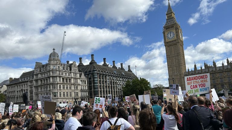 Dotčené rodiče a děti protestují mimo Westminster dne 15. září 2025 proti možnosti sešrotování EHCP. Pic: Sky