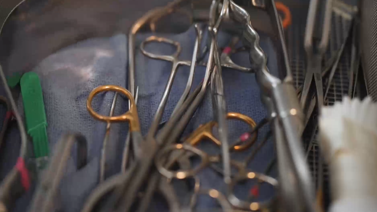 Sky News hovoří s odborníky po celém světě o implantátech mrtvoly déle než rok