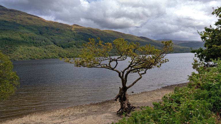 Firkin Point On Loch Lomond. Pic: IStock/Rob Atherton