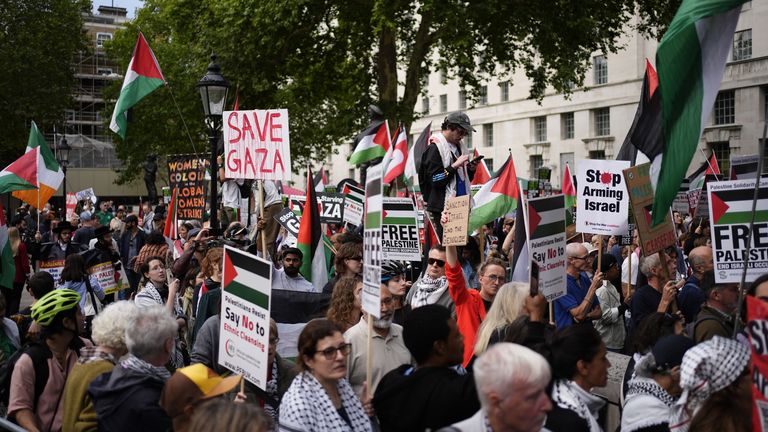 Pro-Palestinské demonstrace v centru Londýna přilákaly tisíce lidí. Pic: Pa