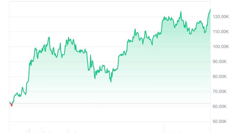 Bitcoin se za poslední rok zdvojnásobil. PIC: CoinmarketCap