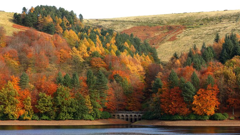 V nadcházejících týdnech se stromy explodují do řady barvy, jako jsou tyto na Derwent Reservoir v Peak District Pic: PA
