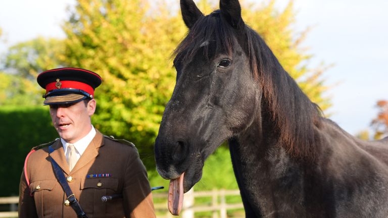 Quaker, na obrázku s vůdcem letky Life Guard Major Tom Stewart, začíná svůj odchod do důchodu na Trust Horse Trust. Pic: Pa