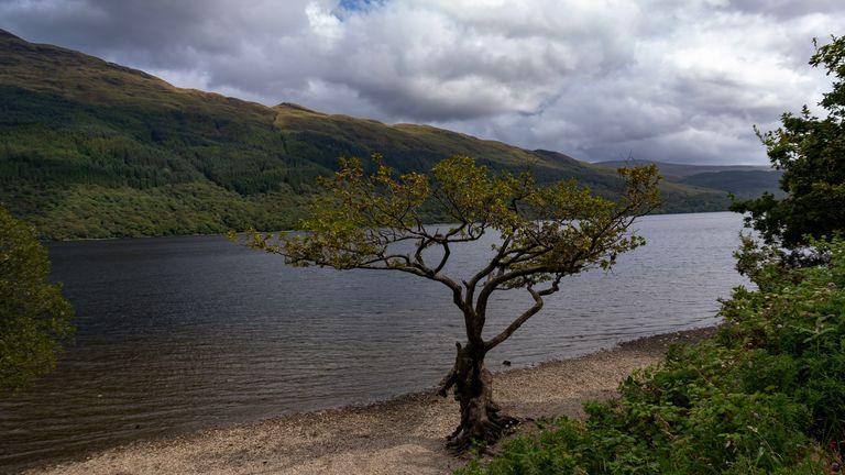 Firkin Point On Loch Lomond. Pic: IStock/Rob Atherton
