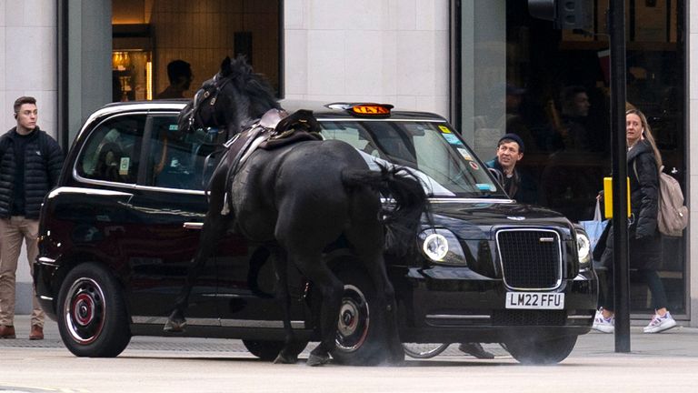 Jeden kůň se rozbil do taxi. Pic: Pa